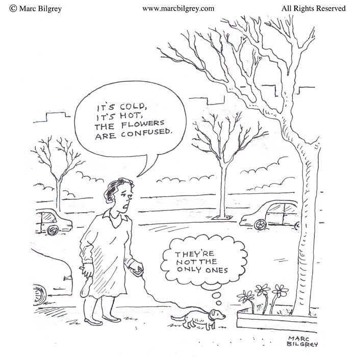 Black and white cartoon by Marc Bilgrey showing everyday irony with a confused woman and her dog in a park setting.