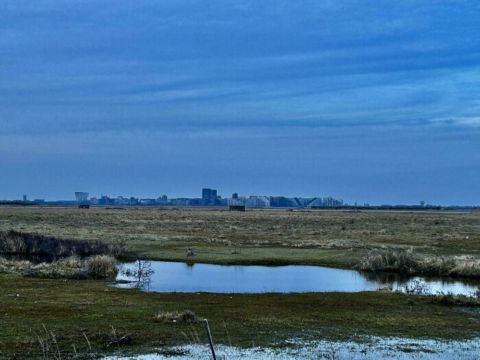 Open Danish landscape with marshland and distant modern buildings under a cloudy sky, highlighting Denmark's unique environment.