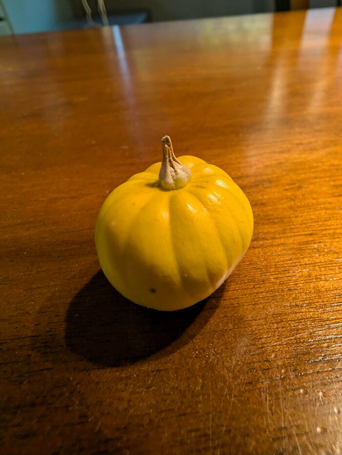 Small yellow tomato resembling a miniature pumpkin on a wooden surface, showcasing a natural gardening surprise.