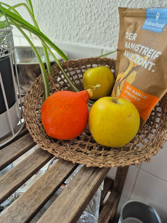 Small orange tomato resembling a pumpkin sits next to apples and a snack bag on a woven basket, nature playing a joke on gardeners.