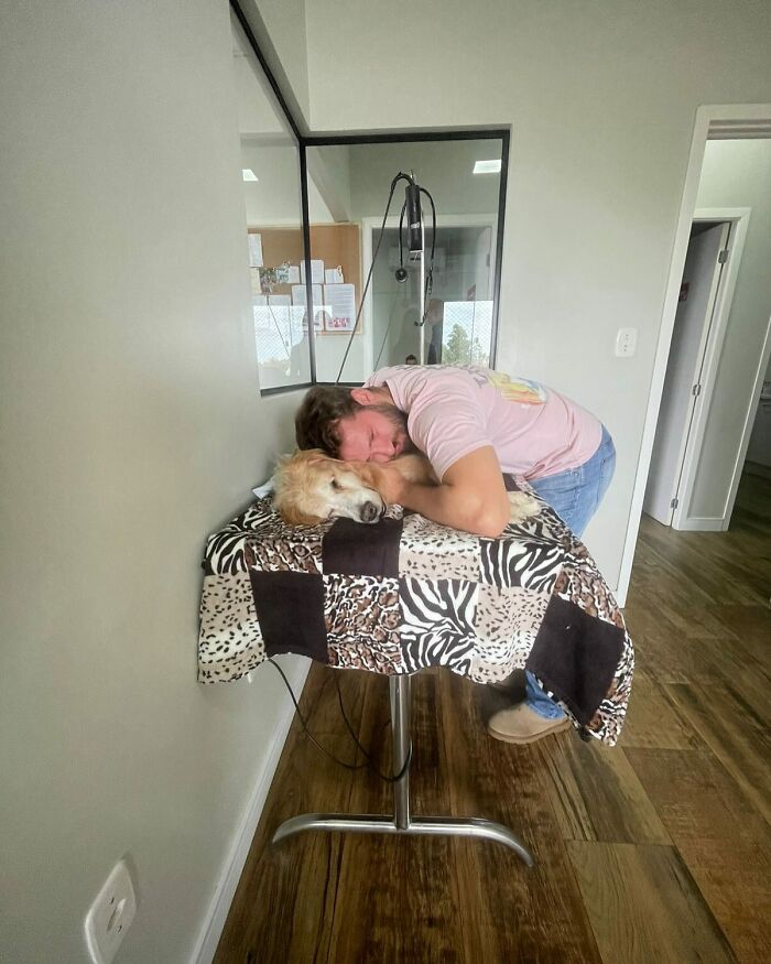 Man resting his head beside Theo the Golden Retriever lying peacefully on a table covered with an animal print blanket. Man resting his head beside Theo the Golden Retriever lying peacefully on a table covered with an animal print blanket.