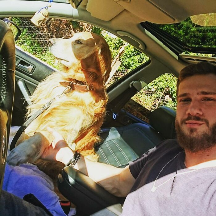 Man sitting in car with Theo the Golden Retriever beside him, enjoying a sunny day and peaceful moment together. Man sitting in car with Theo the Golden Retriever beside him, enjoying a sunny day and peaceful moment together.