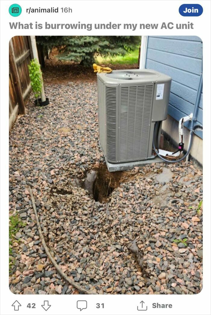 Air conditioning unit with a large hole burrowed underneath, showing a close call related to unexpected danger stories.