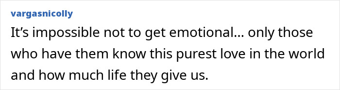 Comment expressing deep emotion and love for dogs, relating to Theo the Golden Retriever’s impact on many lives. Comment expressing deep emotion and love for dogs, relating to Theo the Golden Retriever’s impact on many lives.