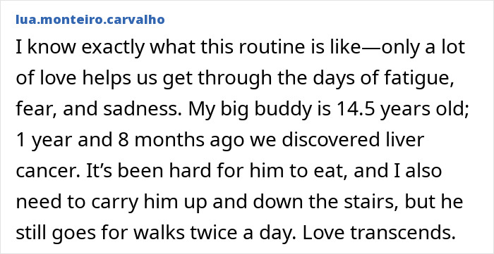 Text post sharing a personal story about a Golden Retriever coping with liver cancer and daily care challenges. Text post sharing a personal story about a Golden Retriever coping with liver cancer and daily care challenges.