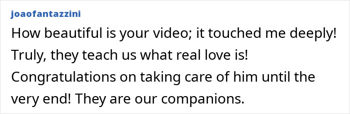 Comment praising a heartfelt video about Theo the Golden Retriever, highlighting love and companionship before his peaceful farewell. Comment praising a heartfelt video about Theo the Golden Retriever, highlighting love and companionship before his peaceful farewell.