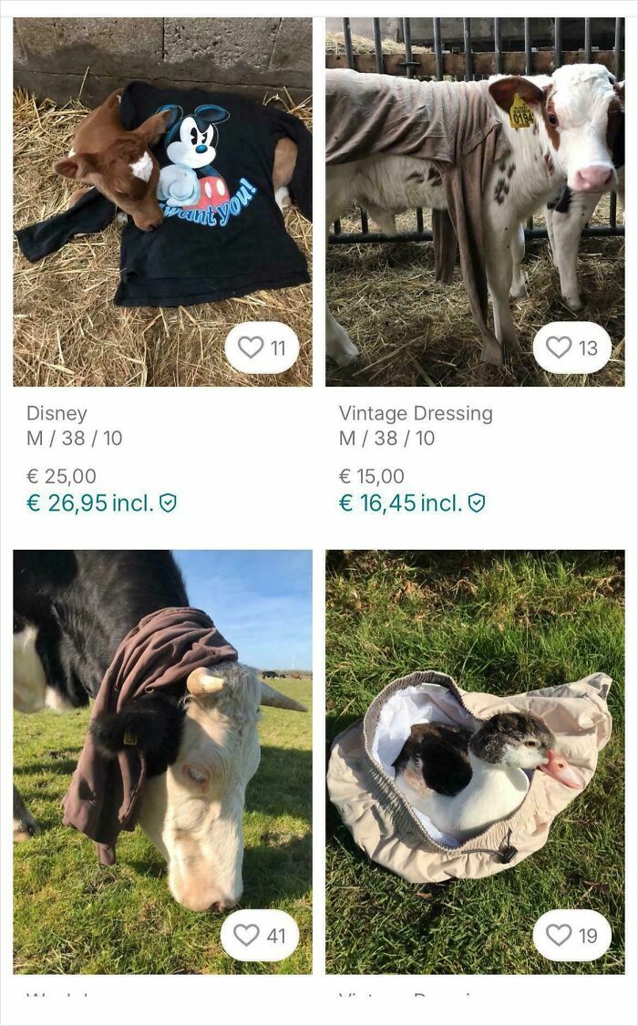 Unhinged online selling showing animals wearing shirts and jackets in a wild Vinted post compilation.