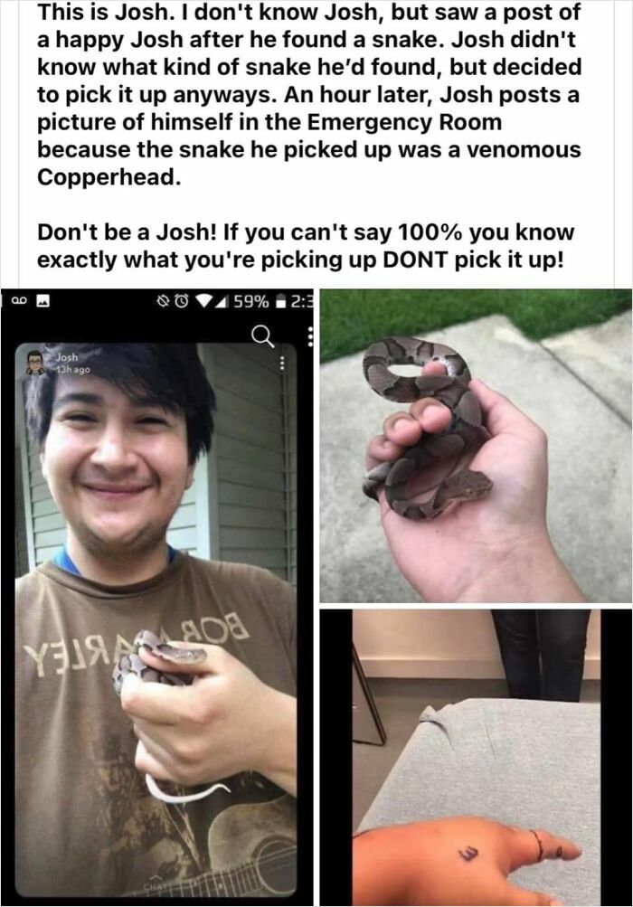 Man holding a venomous copperhead snake before an emergency room visit showing a close call in near death situations.