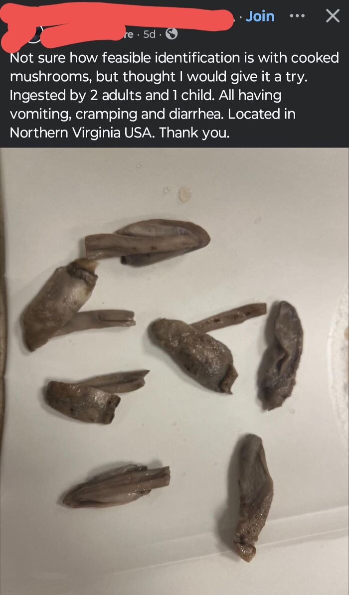 Pieces of cooked mushrooms on a white surface linked to emergency treatment after toxic ingestion closely related to edible risks.