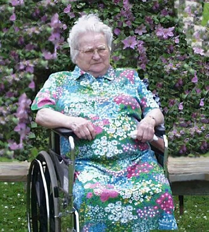 Elderly woman in a wheelchair wearing a floral dress, surrounded by blooming purple flowers in a garden setting.