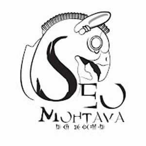 seomohtava avatar