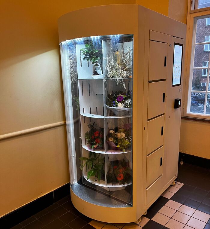 Flower vending machine inside a Danish prison cell highlighting innovative and cooler aspects of Denmark’s prison system.