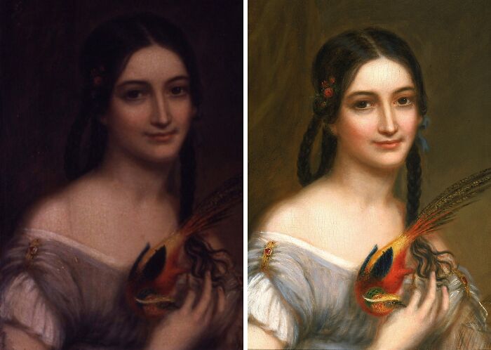 Before-and-after photos of a restored historical painting showing enhanced colors and fine details of a woman holding a bird.