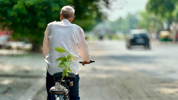 Elderly man riding bicycle on quiet street with plants, showcasing street photography capturing humanity in its purest form.