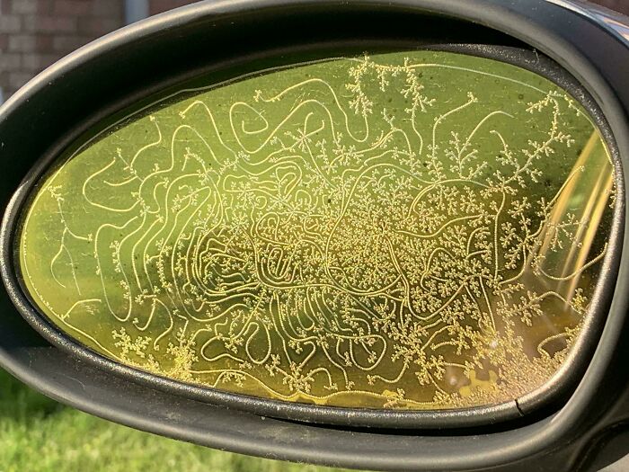 Frost patterns forming intricate, curious designs on a car side mirror, a surprising discovery people didn’t expect. Frost patterns forming intricate, curious designs on a car side mirror, a surprising discovery people didn’t expect.