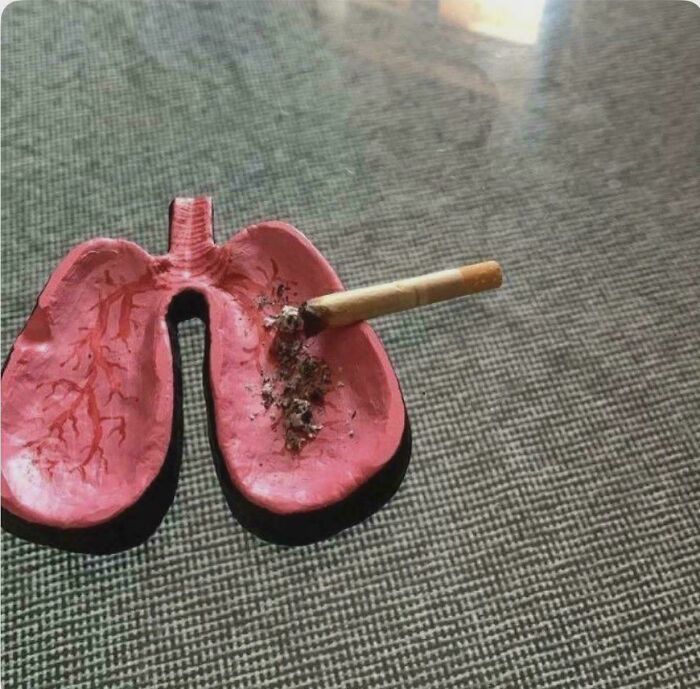 Lung-shaped ashtray with a cigarette showing burnt ash in the lung, a smart and creative designer idea.
