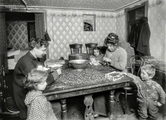 Black and white old photo showing a family sorting chestnuts at home, depicting people’s lives from a different time.