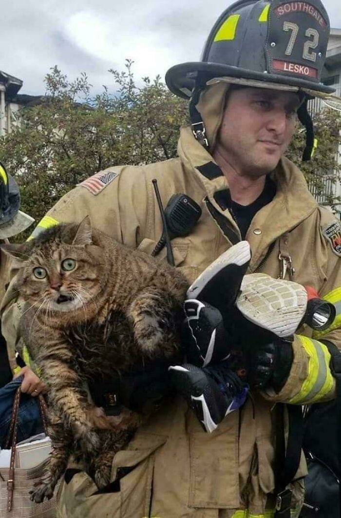 Firefighter in full gear carrying a large, wet cat with a surprised expression in a funny and bizarre rescue moment.