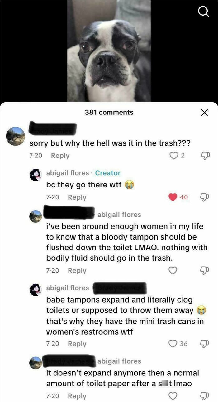 Close-up of a dog with a TikTok comment thread discussing why tampons belong in the trash in screenshots from TikTok.
