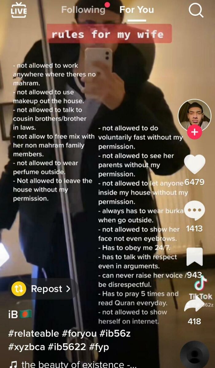 TikTok screenshot showing a list of strict personal rules with text overlay and social media interface elements.