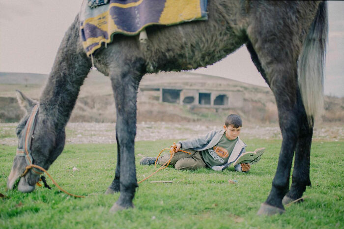Boy lying on grass reading a book next to a grazing horse, capturing the candid side of life in Turkey.