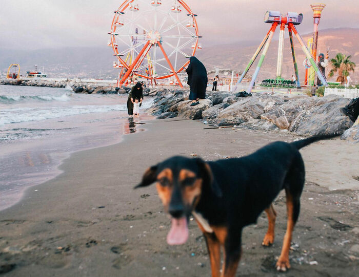 A candid photo showing a dog on a beach with people and a Ferris wheel, capturing real life in Turkey.