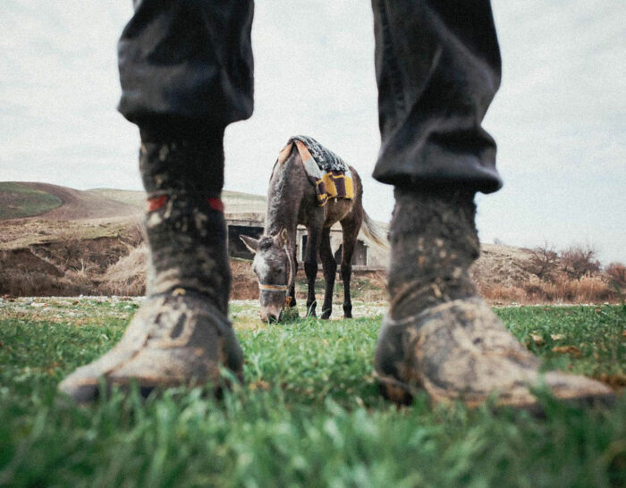 View of muddy boots with a grazing donkey in the background, capturing candid life in Turkey through photography.