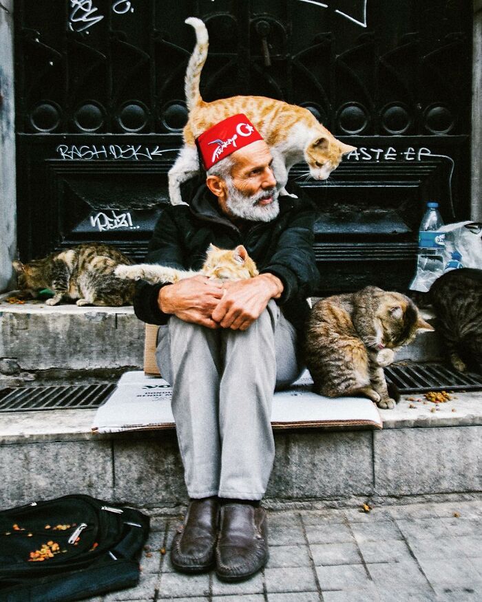 Elderly man wearing a Turkish fez, sitting on the street surrounded by cats, showcasing candid life in Turkey.