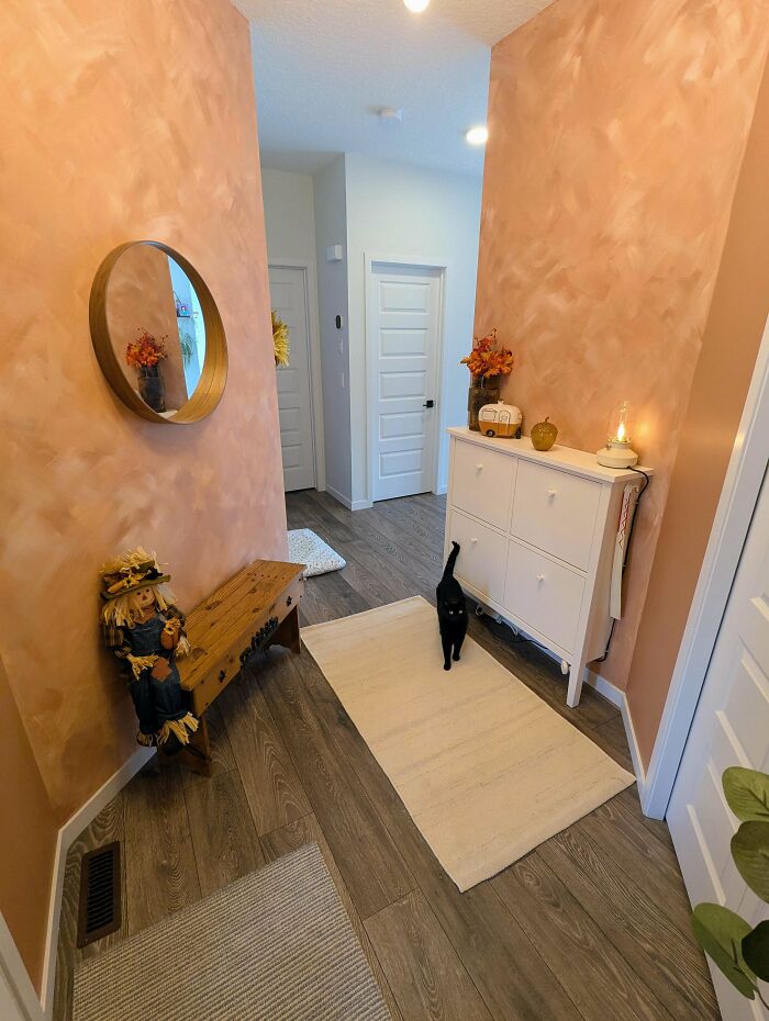 Cozy home decor with warm textured walls, wooden bench, white cabinet, round mirror, and a black cat on a rug.