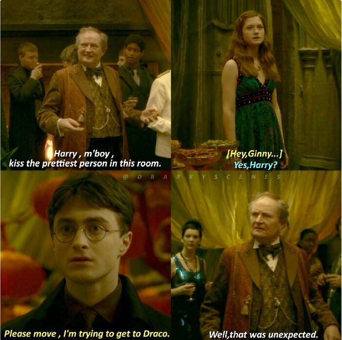 Who Else Thinks Drarry Is Ridiculous?
