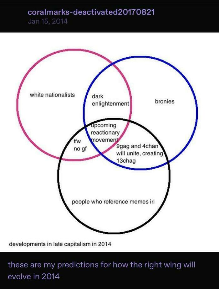 Venn diagram of white nationalists, bronies and meme users labeled developments in late capitalism, aged like wine