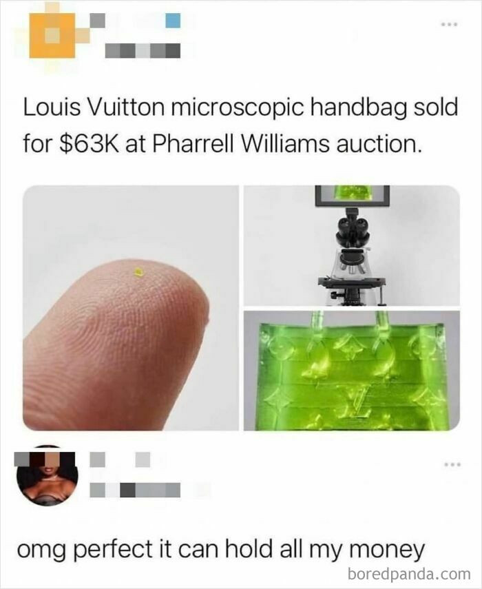 Microscopic Louis Vuitton handbag meme showing a tiny purse sold for $63K, highlighting viral and random meme chaos.