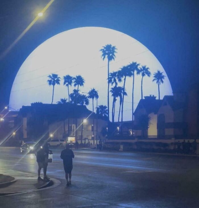 Massive glowing orb behind palm trees in a nighttime scene resembling a dystopian nightmare in the US.