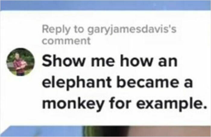Comment on TikTok screenshot asking to explain how an elephant became a monkey, highlighting curiosity and smart content.