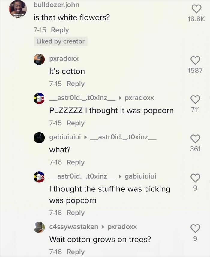 TikTok screenshot showing a humorous conversation about cotton and popcorn, engaging smart TikTok users.