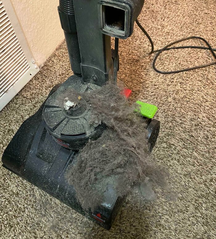 Vacuum cleaner clogged with an enormous amount of hair and dust, highlighting awful roommates neglecting cleaning.