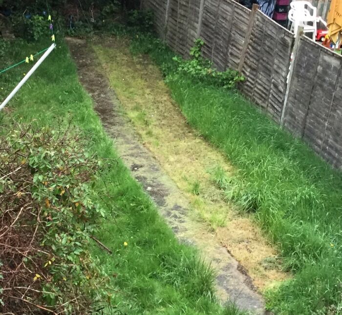 Overgrown backyard path with uneven lawn showing neglect, illustrating issues with awful roommates and poor shared space care.