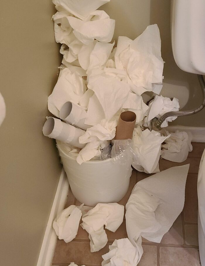 Overflowing trash bin with used tissues and empty toilet paper rolls, showing awful roommates' messy bathroom habits.