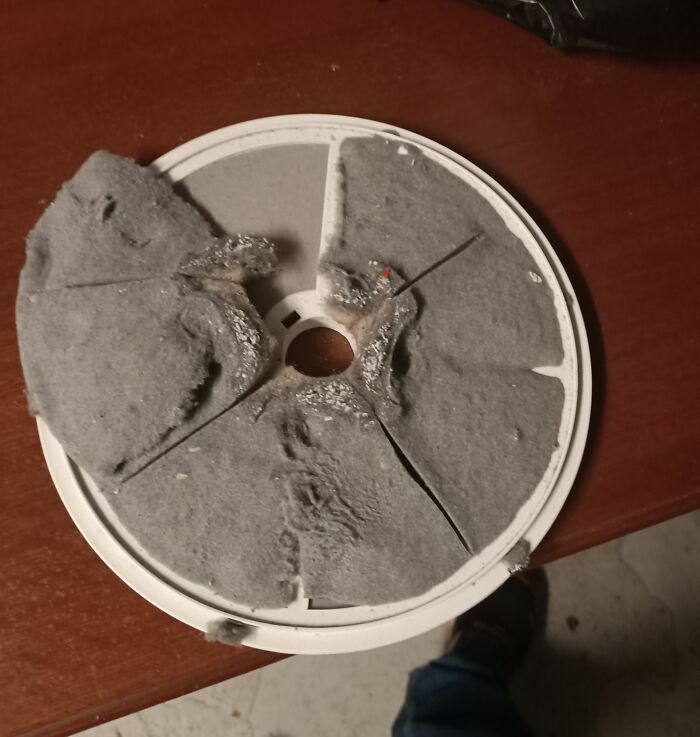 Extremely dirty vacuum filter clogged with dust and debris, showcasing terrible roommate neglect and poor cleaning habits.