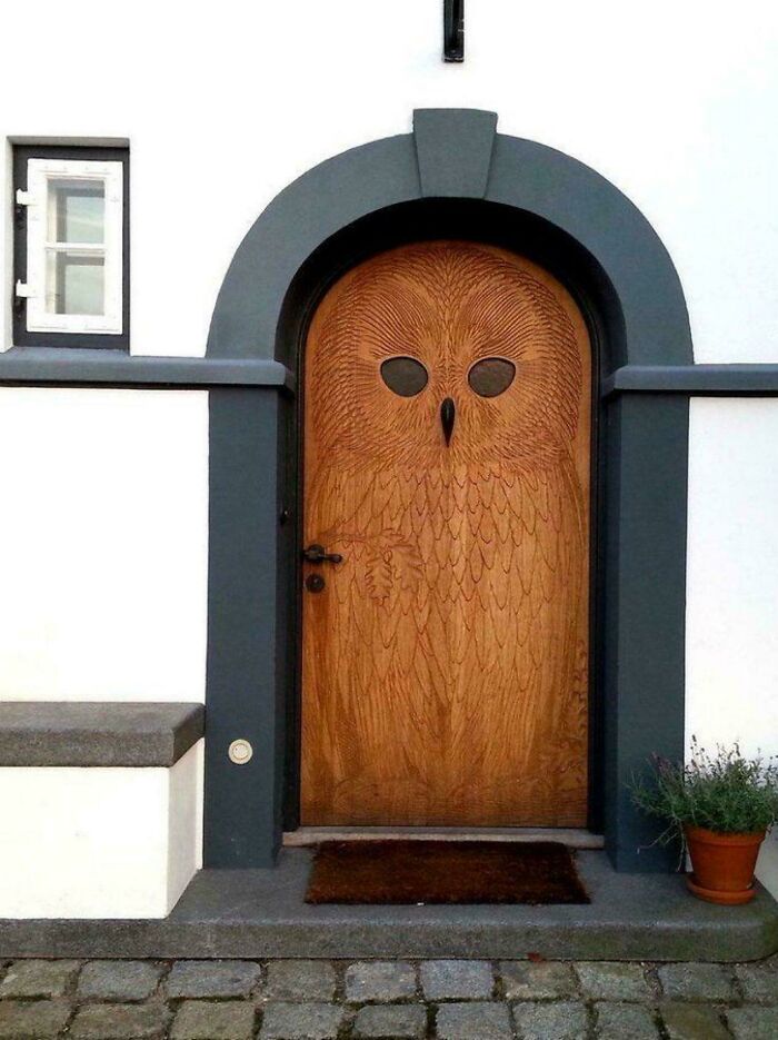 Wooden door carved with an owl design, showcasing creative smart and cool design ideas by innovative designers.