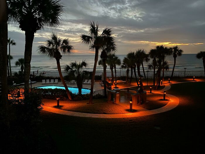 Beachside sunset with palm trees and glowing path lights creating a calm, happiness-inducing setting for moms and families.