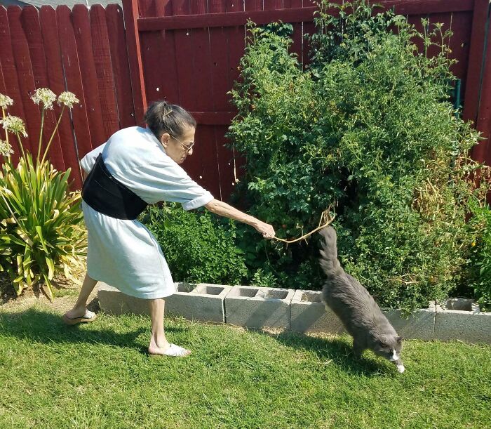 Elderly woman playfully teasing a cat with a stick in a backyard, showcasing funniest parents' playful moments.