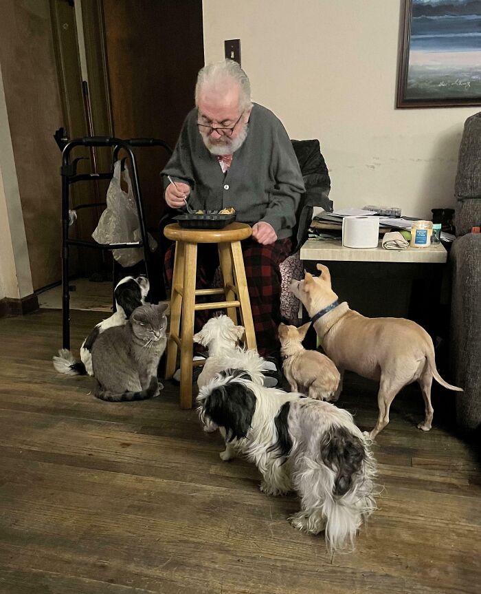 Elderly man surrounded by pets eagerly waiting as he eats, showcasing funny parents in a humorous home moment.