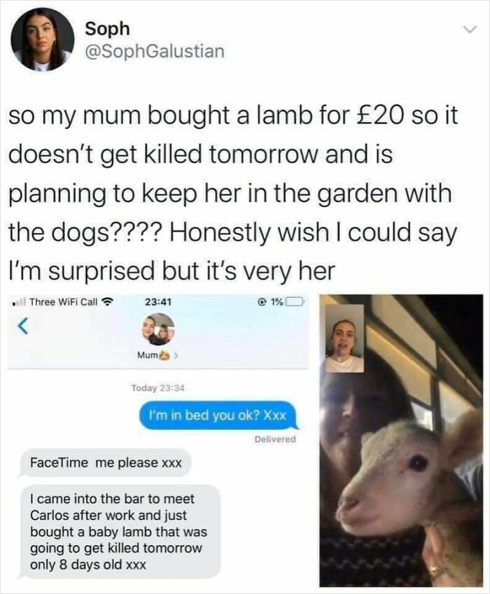 Text showing a mom buying a lamb to save it from being k****d, highlighting wholesome mom moments and happiness.
