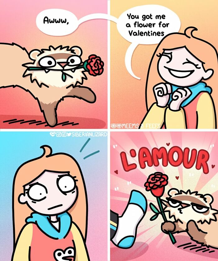 Comic strip showing a cat with a flower and a girl reacting, depicting life with two ferrets and a cat.