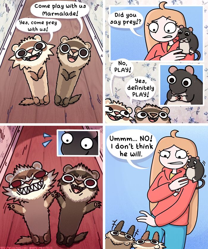 Comic strip showing ferrets and a cat interacting playfully, illustrating life with two ferrets and a cat in a humorous way.