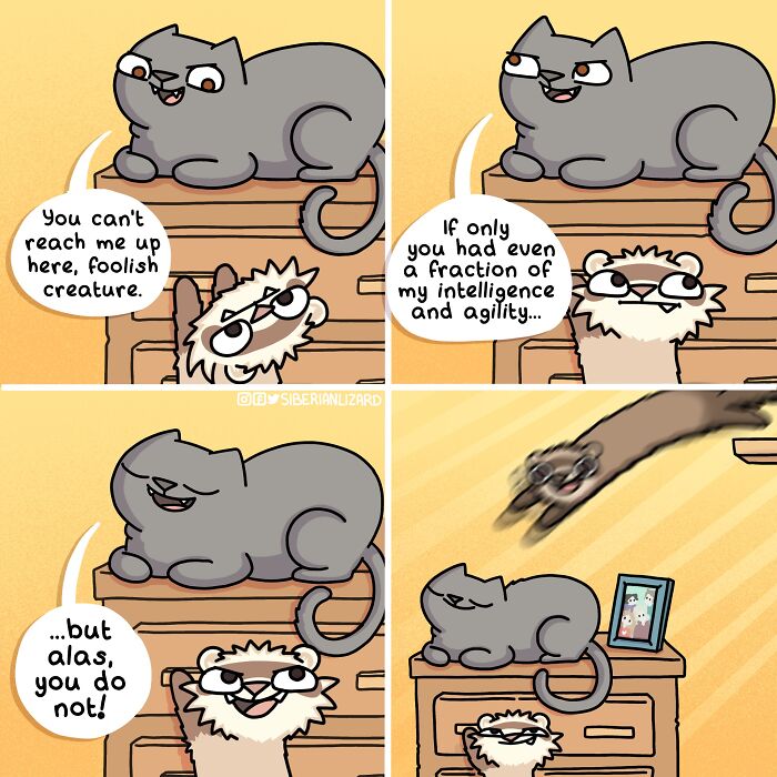 Cartoon showing playful interaction between a cat and a ferret, illustrating life with two ferrets and a cat.