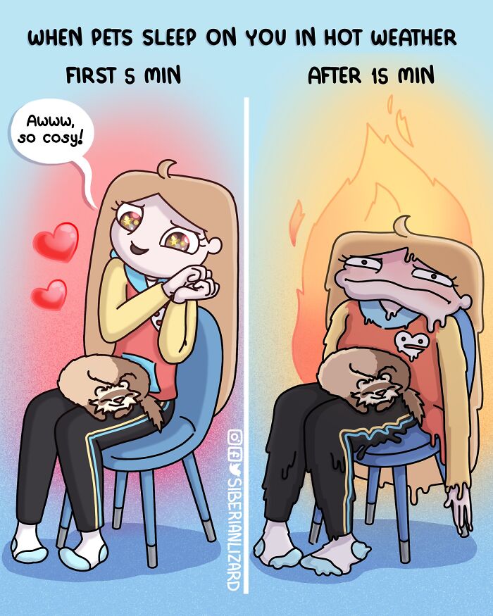 Comic illustration showing an artist's humorous view of living with ferrets and a cat in hot weather initially cozy, then overheating.