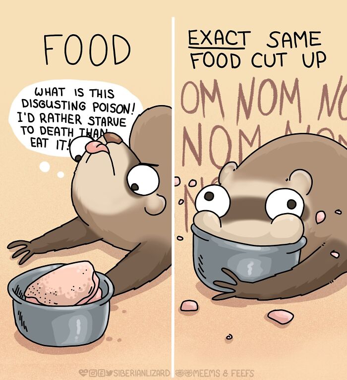 Cartoon ferret rejecting food in one panel and eagerly eating the exact same food in another, showing ferret behavior.