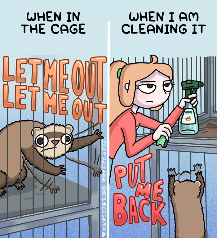 Artist documents daily life with two ferrets and a cat, showing playful and stubborn pet behaviors in a comic style.